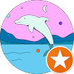 dolphin client feedback image